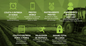 Logística Personalizada