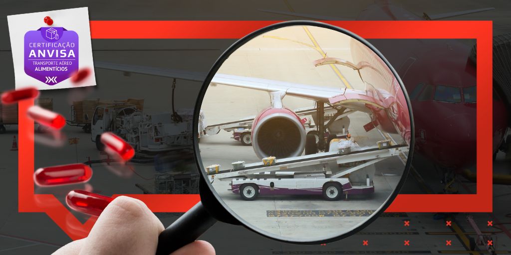 Transporte aéreo de alimentos